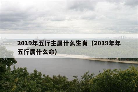 2019年生肖五行